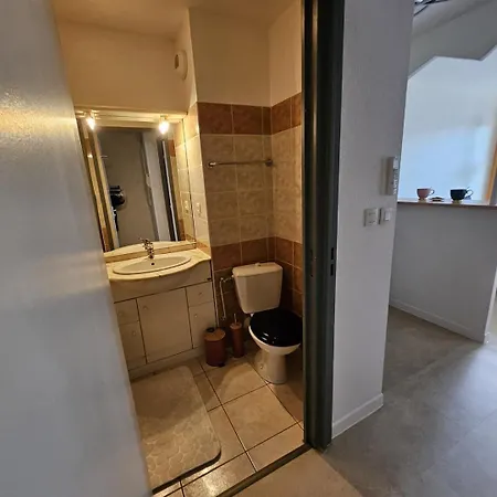 Agreable - Centre - Balcon Apartmán Toulouse