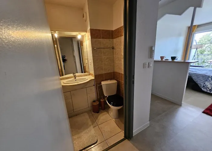 Agreable - Centre - Balcon Lejlighed Toulouse